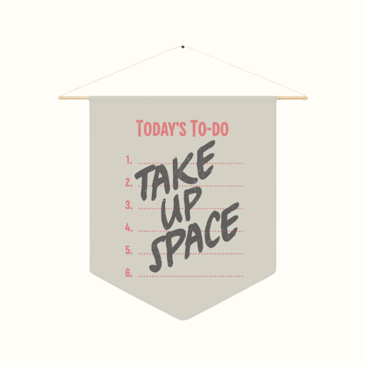 take up space wall pennant